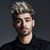 Discos de Zayn Malik