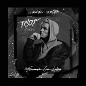 Disco Sooner or Later (R!OT Remix) de Aaron Carter