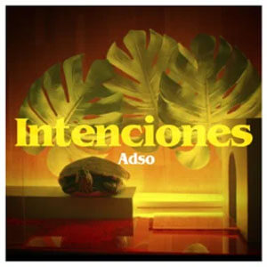 Disco Intenciones de Adso Alejandro
