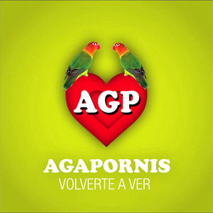 Disco Volverte A Ver de Agapornis