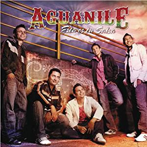Disco Esta En Tu Salsa (Versión 2011) de Aguanile