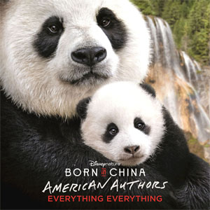 Disco Everything Everything de American Authors