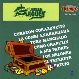 Disco Serie Tesoro de Banda Maguey