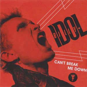 Disco Can't Break Me Down de Billy Idol