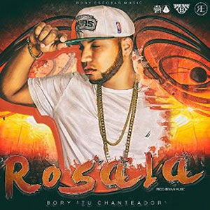Álbum Rosala de Bory 