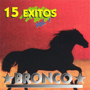 Disco 15 Éxitos de Bronco