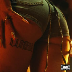 Disco Turra de Cazzu