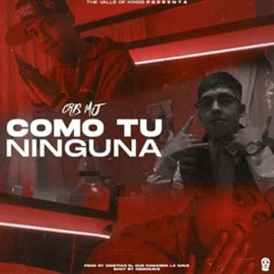 Disco Como Tú Ninguna de Cris MJ