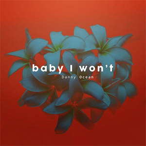 Disco Baby I Won't de Danny Ocean