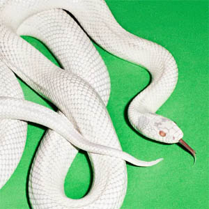 Álbum Private Music de Deftones