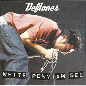 Disco White Pony Am See de Deftones