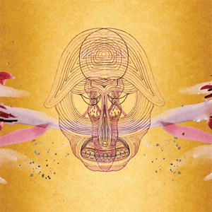 Disco What Will We Be de Devendra Banhart