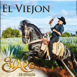Disco El Viejón de El Chapo de Sinaloa