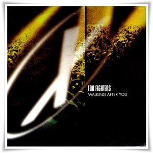 Disco Walking After You de Foo Fighters