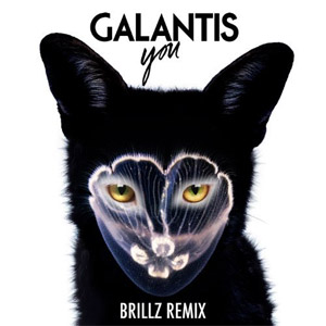 Disco You (Brillz Remix) de Galantis