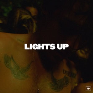 Disco Lights Up de Harry Styles