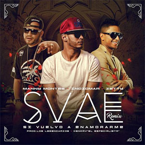 Disco Svae (Remix) de Indiomar