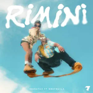 Disco Rimini de Ingratax