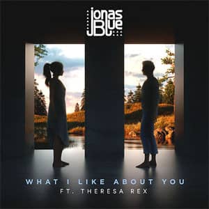 Disco What I Like About You de Jonas Blue