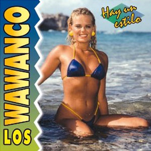 Disco Hay Un Estilo de Los Wawanco