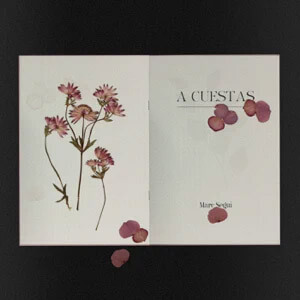 Disco A Cuestas de Marc Seguí