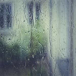 Disco Downpour de Nav