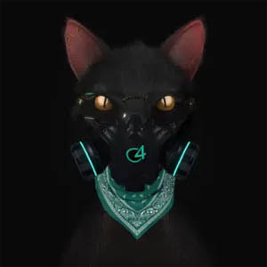Disco Gato de Noche de Ñengo Flow