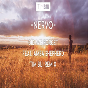 Disco Did We Forget  (Tim Bui Remix)  de Nervo