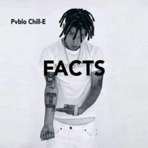 Disco Facts de Pablo Chill-E