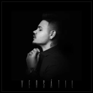 Disco Versátil de Sael