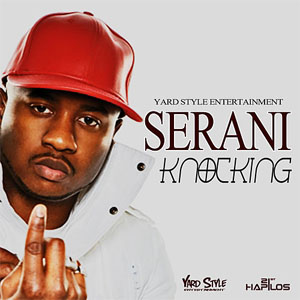 Disco Knocking de Serani