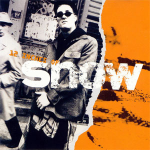 Disco 12 Inches Of Snow de Snow