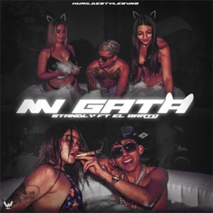 Disco Mi Gata de Standly