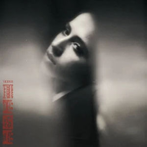 Disco Vicious de Tate McRae