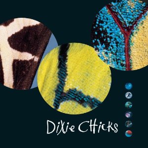 Disco Fly de The Chicks