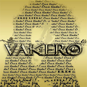 Disco Eres Linda de Vakero