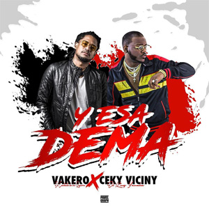 Disco Y Esa Dema de Vakero