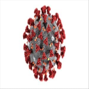 Disco El Virus de Valtònyc